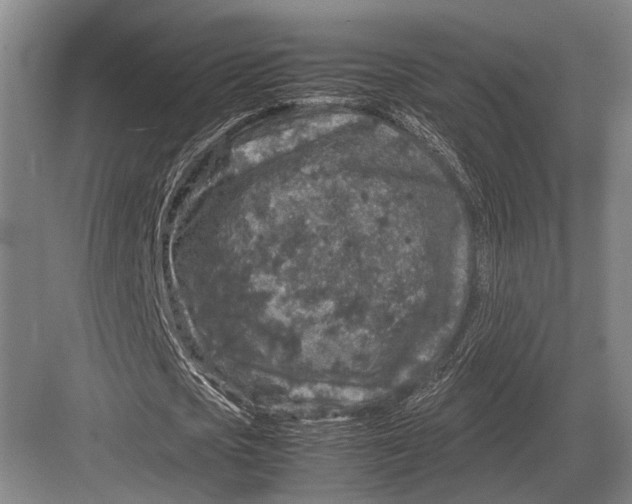 X0000082740721200702161932