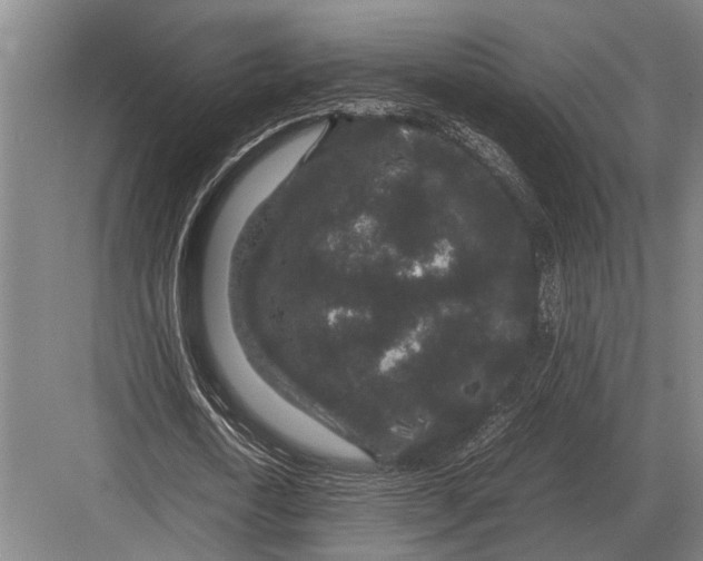 X0000082740722200702161932