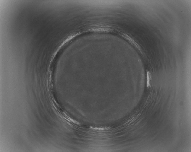 X0000082740723200702161932