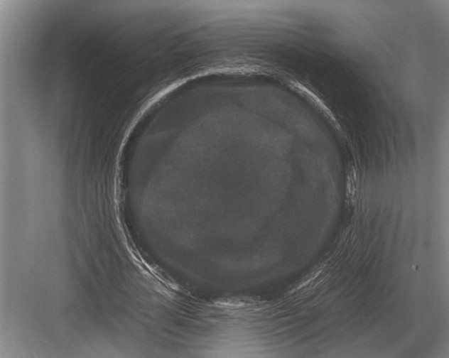 X0000082740724200702161932