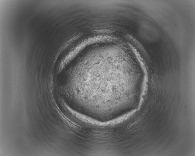 X0000082740725200702161932