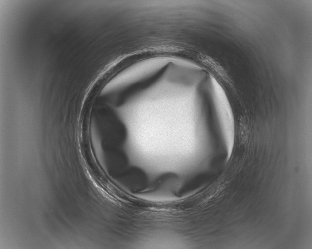 X0000082740726200702161932