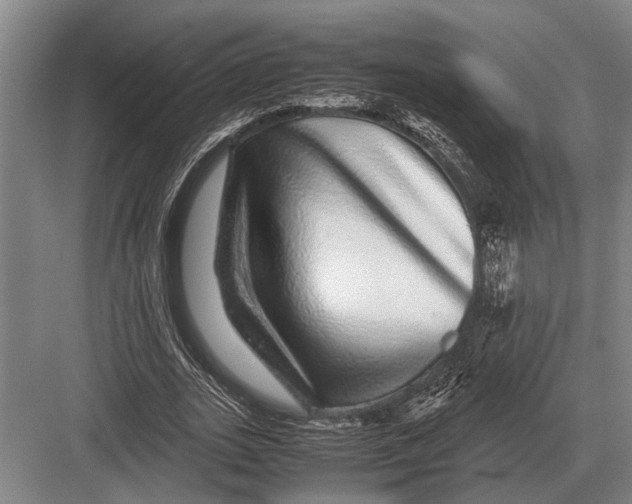 X0000082740727200702161932