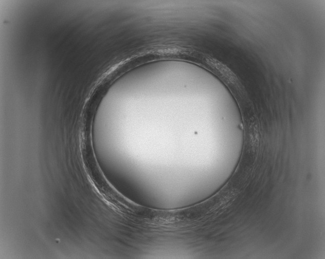 X0000082740728200702161932