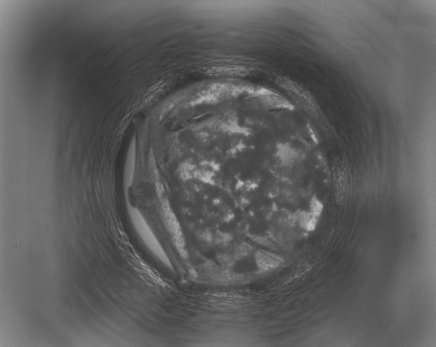 X0000082740729200702161932