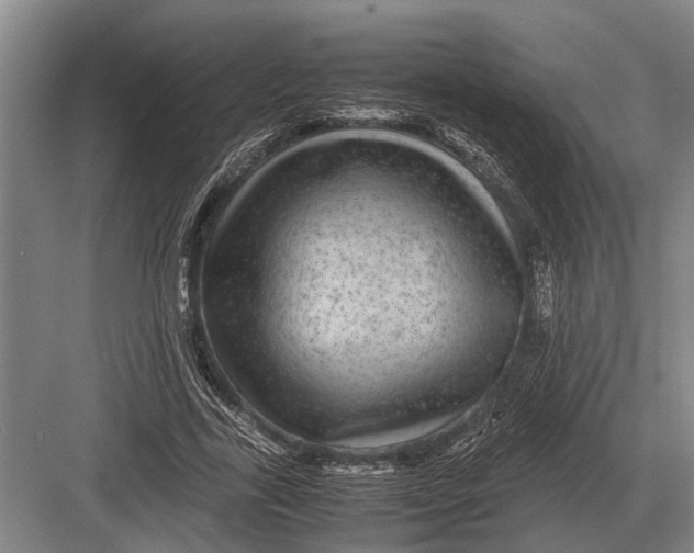 X0000082740731200702161932