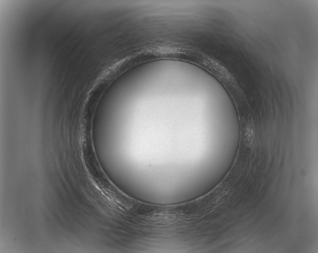 X0000082740732200702161932