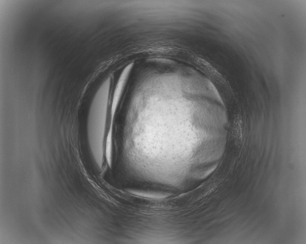 X0000082740734200702161932