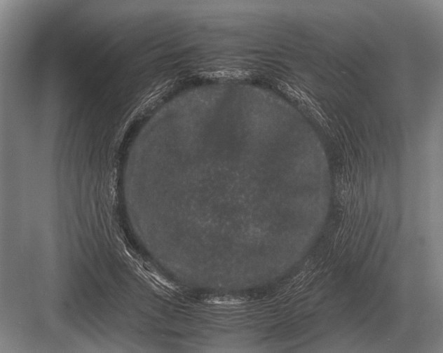 X0000082740735200702161932