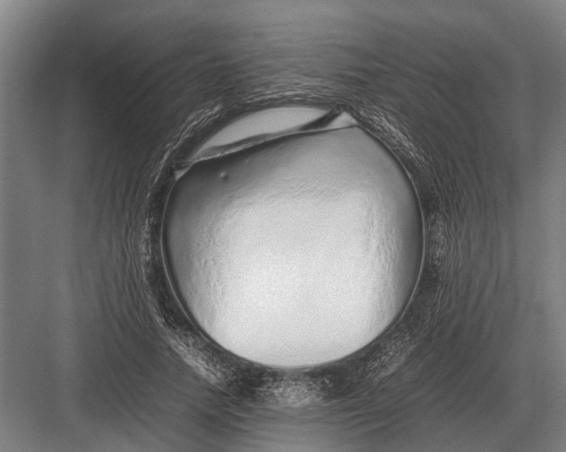 X0000082740738200702161932