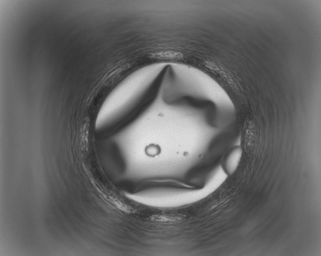 X0000082740739200702161932