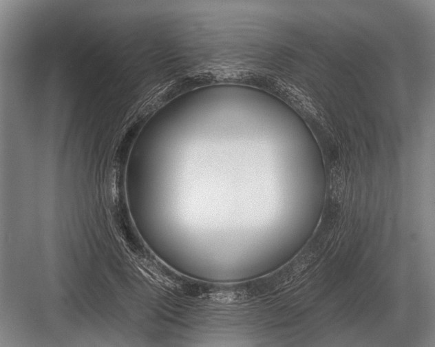 X0000082740740200702161932