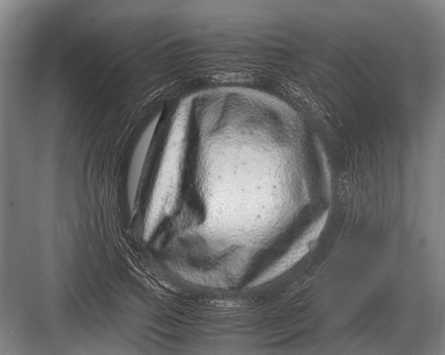 X0000082740741200702161932