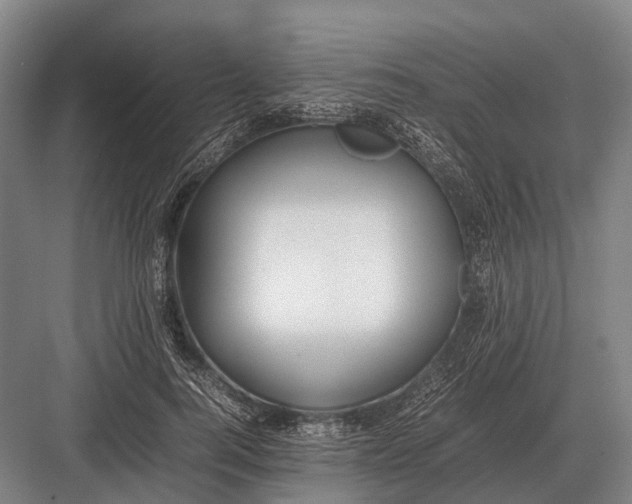 X0000082740744200702161932