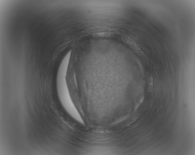 X0000082740746200702161932