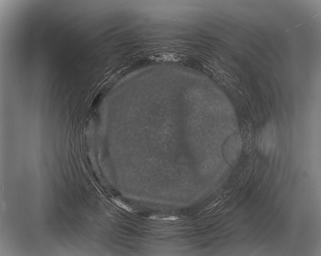 X0000082740747200702161932