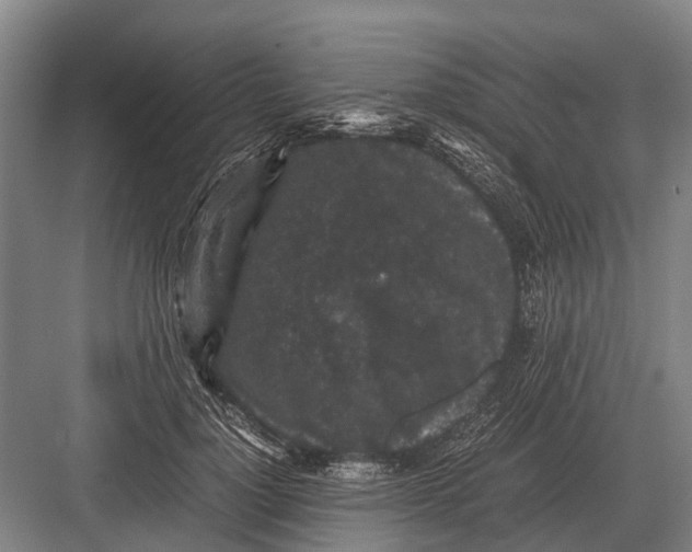 X0000082740748200702161932