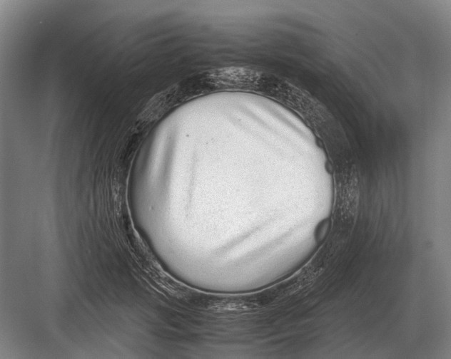 X0000082740749200702161933