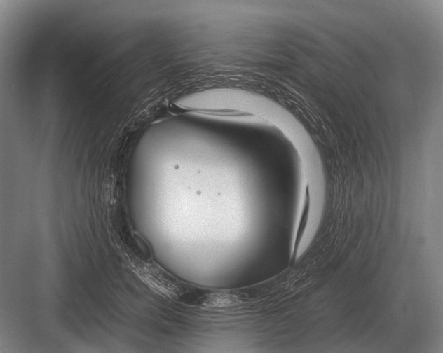 X0000082740750200702161933