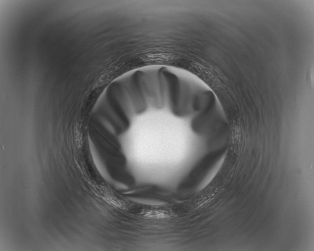 X0000082740751200702161933