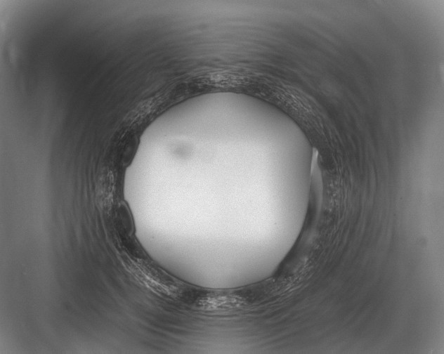 X0000082740752200702161933