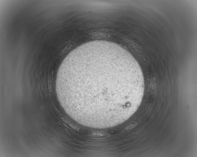 X0000082740753200702161933