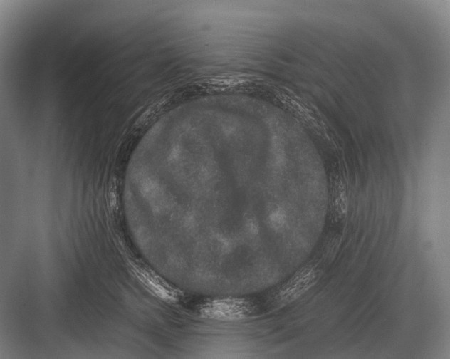 X0000082740758200702161933