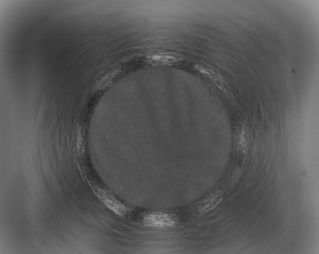 X0000082740759200702161933