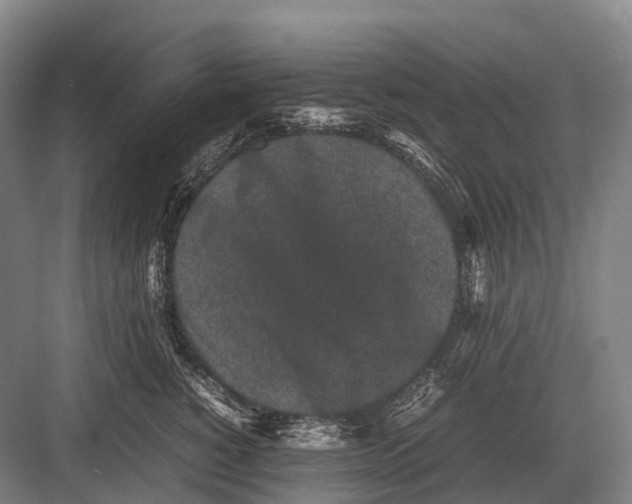 X0000082740760200702161933