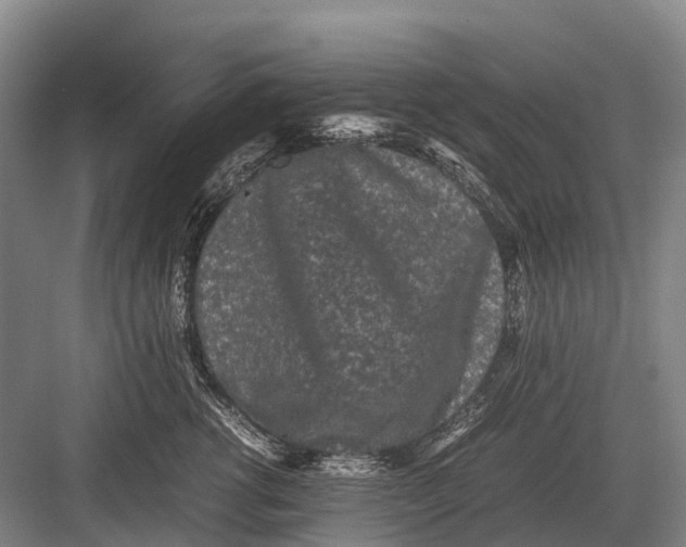 X0000082740762200702161933