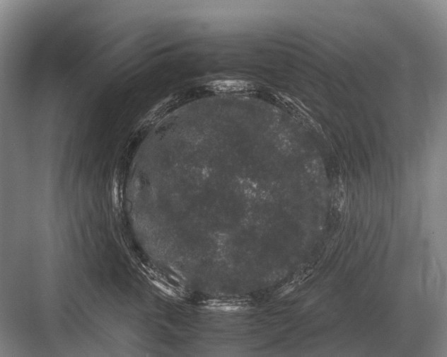 X0000082740763200702161933