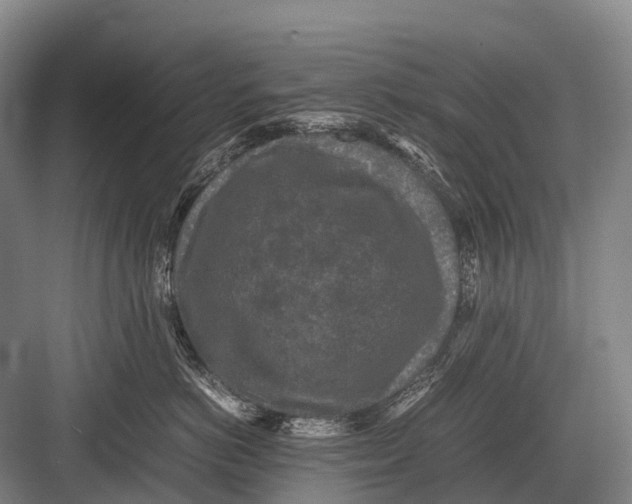 X0000082740766200702161933