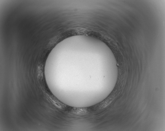 X0000082740768200702161933