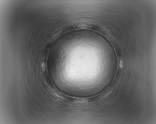 X0000082740771200702161932