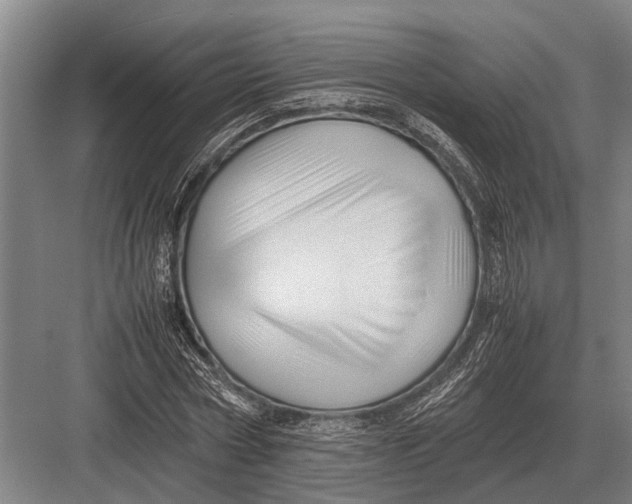 X0000082740778200702161932