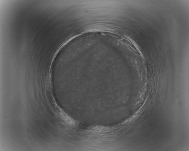 X0000082740779200702161932