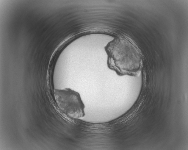 X0000082740780200702161932