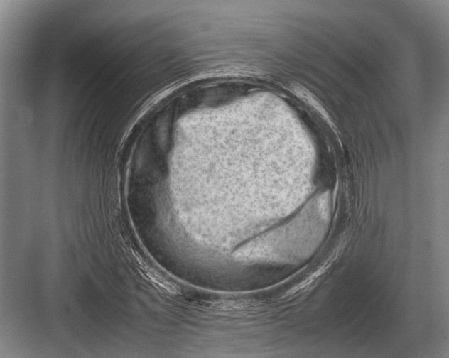 X0000082740781200702161932