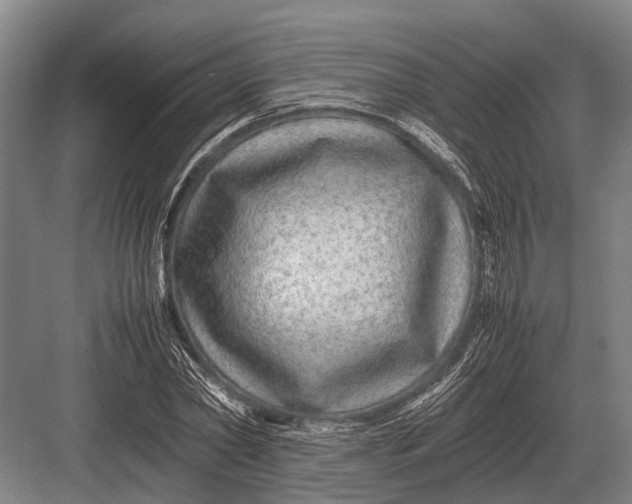 X0000082740782200702161932