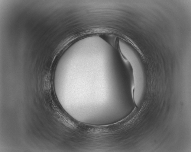 X0000082740786200702161932