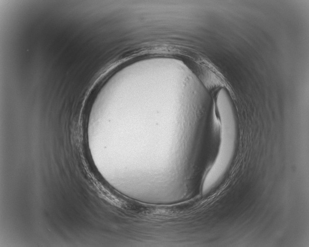 X0000082740787200702161932