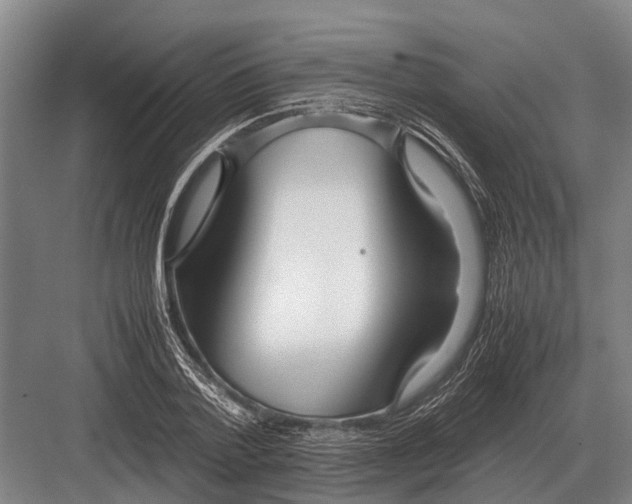 X0000082740788200702161932