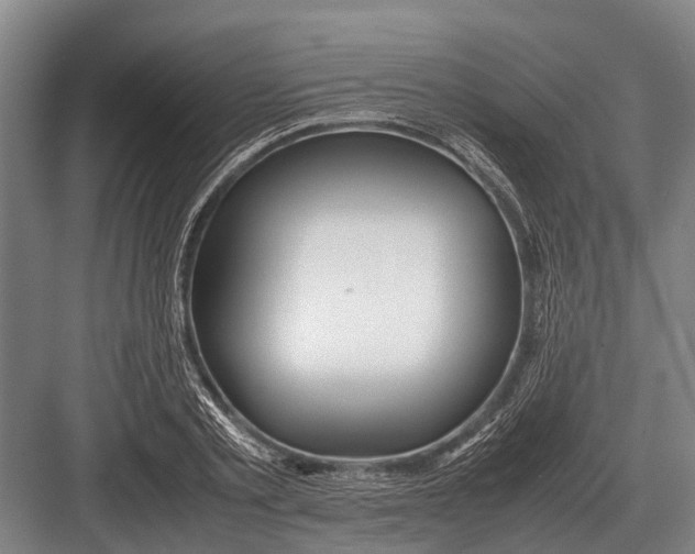 X0000082740789200702161932