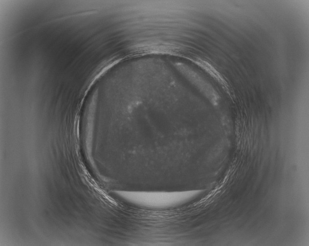 X0000082740790200702161932