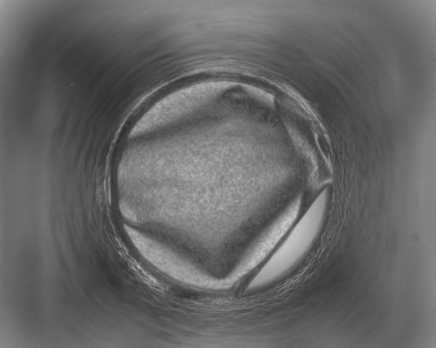 X0000082740791200702161932