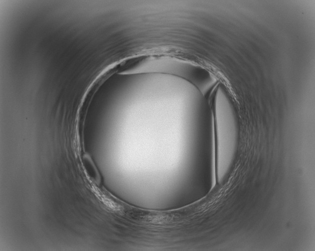 X0000082740792200702161932