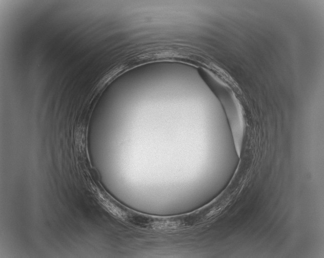 X0000082740793200702161932