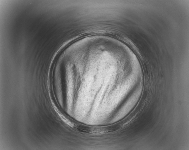 X0000082740795200702161932