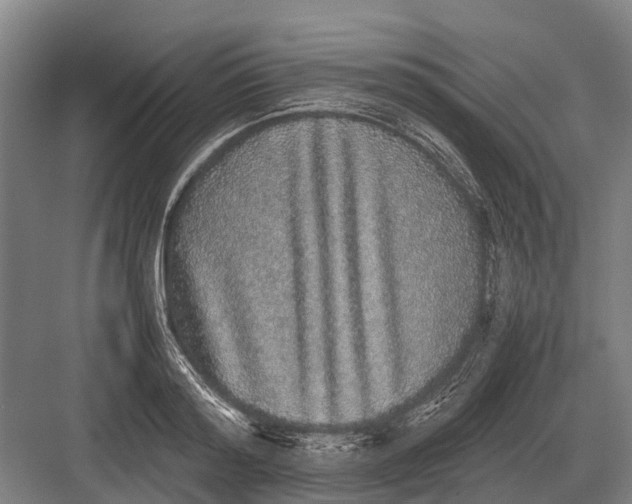 X0000082740796200702161932