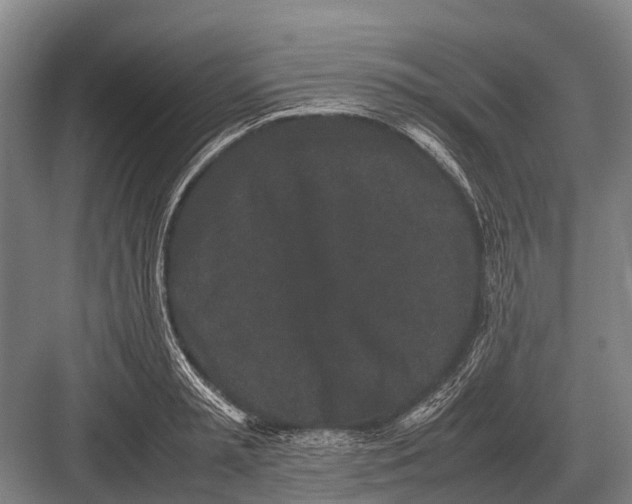 X0000082740797200702161932